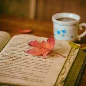 Rencontre du club lecture